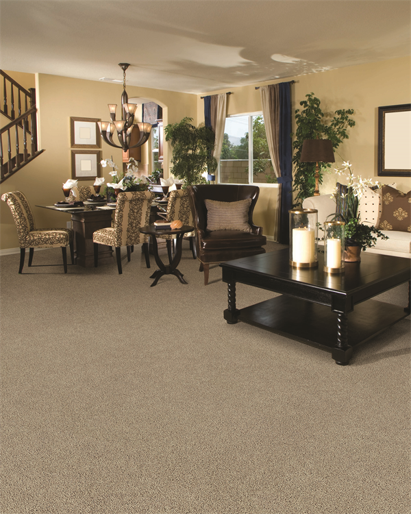 Beaulieu of America Launches Two New Bliss Carpets for this Fall